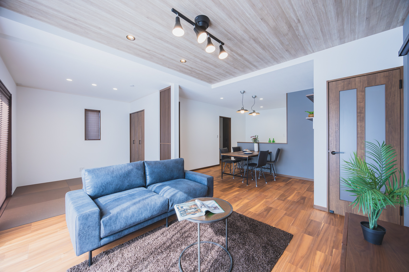 セクション4画像